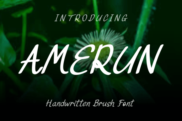 Amerun: A Delicate Handwritten Font for Editorial Elegance