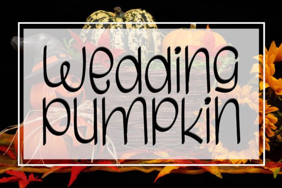 Enhance Your Brand with Wedding Pumpkin Font